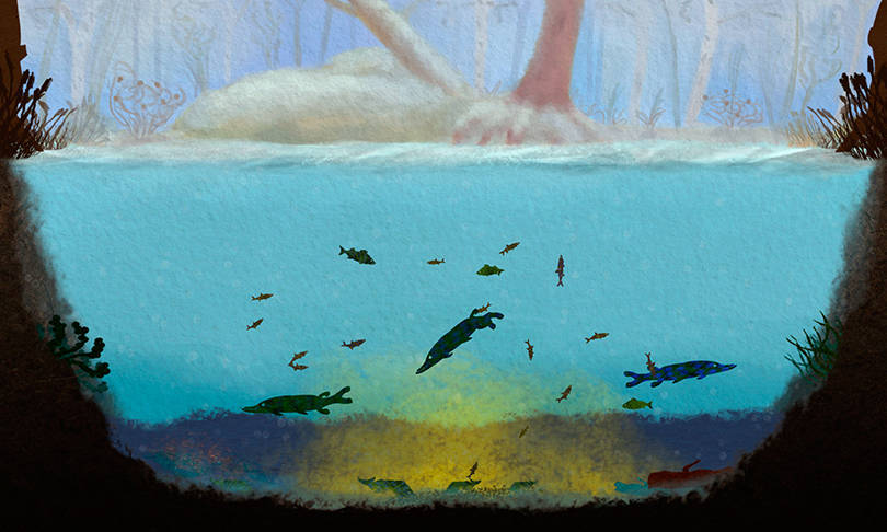 Among Ripples | Free-To-Play Games